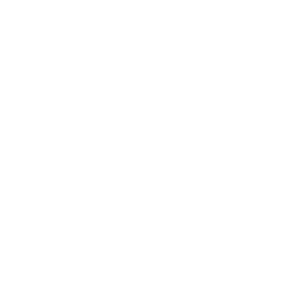 logo-ermes-bianco