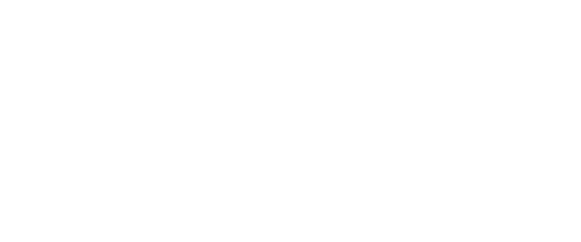 logo IBRA SHOWERS