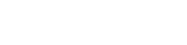 nardi_logo_01